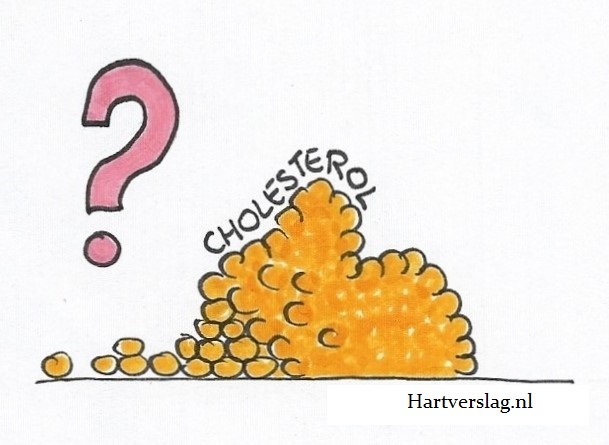 cholesterol meten